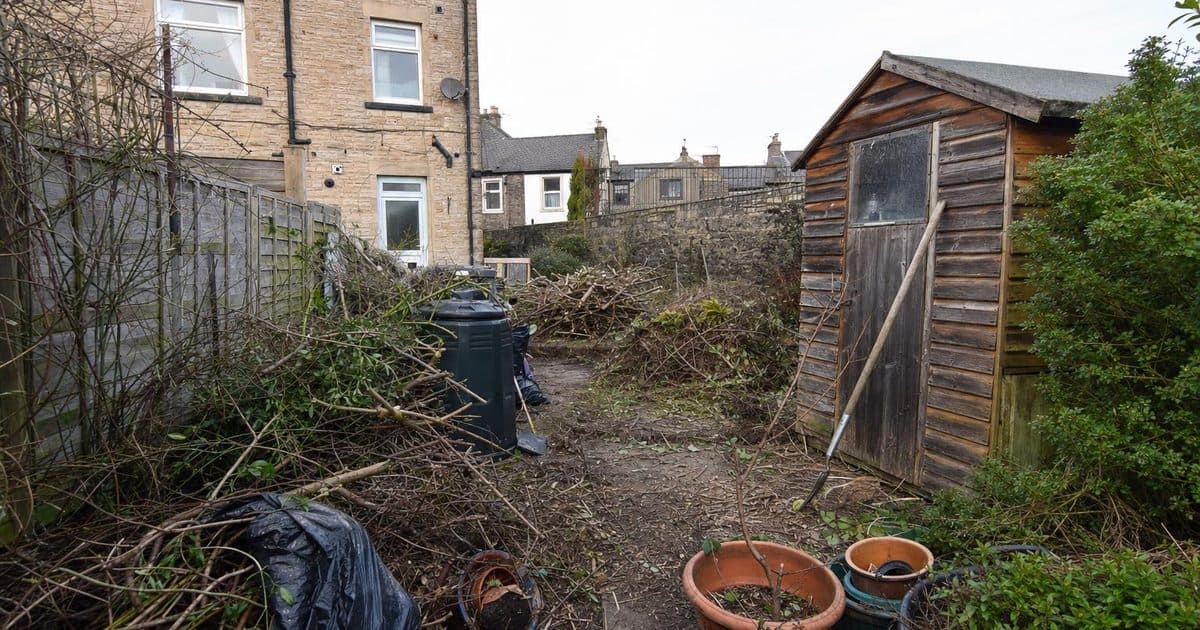 A cluttered back garden in Lancaster with green waste, old planters and a damaged shed ready for clearance